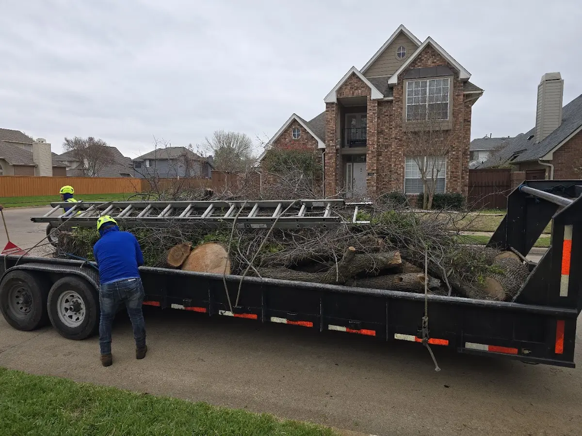 Expert Lot Clearing with proper safety equipment in Ellinwood
